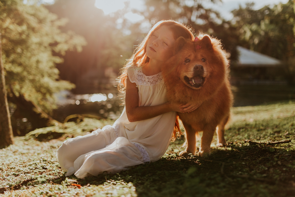 Child hugging a fluffy dog in golden evening light
