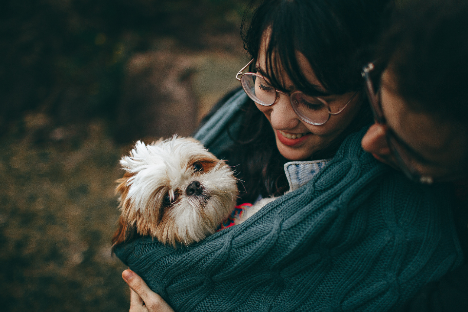 Person cradling a shih tzu outdoors at golden hour